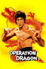 Enter the Dragon poster 37