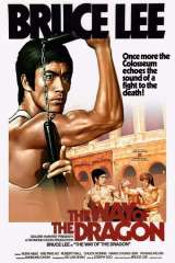 The Way of the Dragon poster 16