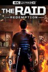 The Raid poster 18