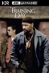 Training Day poster 15