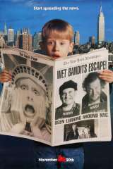 Home Alone 2: Lost in New York poster 13