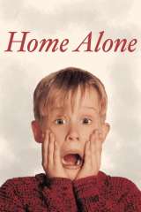 Home Alone poster 38