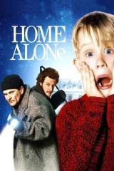 Home Alone poster 16