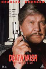 Death Wish V: The Face of Death poster 7