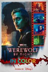 Werewolf by Night poster 18