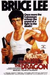 The Way of the Dragon poster 20