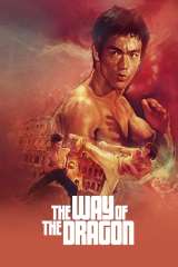 The Way of the Dragon poster 28