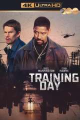 Training Day poster 22