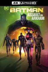 Batman: Assault on Arkham poster 6