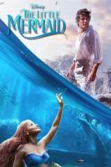 The Little Mermaid poster 65