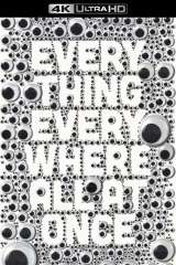 Everything Everywhere All at Once poster 11