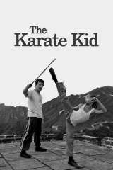 The Karate Kid poster 7