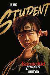 Karate Kid: Legends poster 23