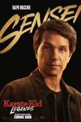 Karate Kid: Legends poster 22