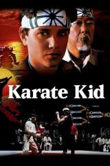 The Karate Kid poster 11