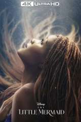 The Little Mermaid poster 20