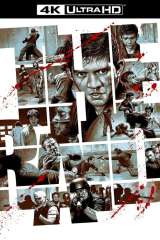 The Raid poster 9