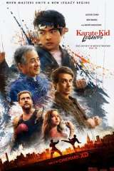 Karate Kid: Legends poster 19