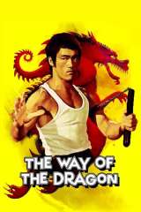 The Way of the Dragon poster 14
