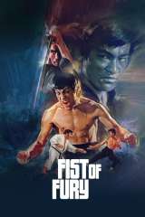 Fist of Fury poster 39