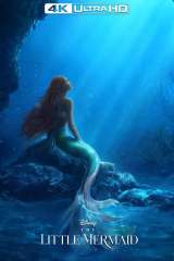 The Little Mermaid poster 21