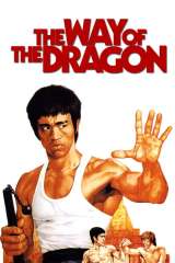 The Way of the Dragon poster 33