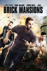 Brick Mansions poster 9