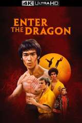 Enter the Dragon poster 26