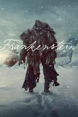 Frankenstein poster 59