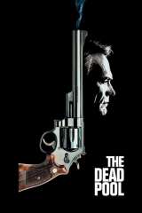 The Dead Pool poster 17