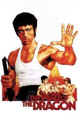 The Way of the Dragon poster 31
