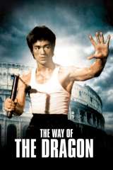 The Way of the Dragon poster 13