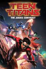 Teen Titans: The Judas Contract poster 8