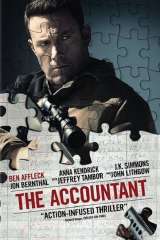 The Accountant poster 6
