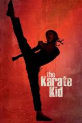 The Karate Kid poster 10