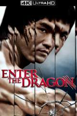 Enter the Dragon poster 24