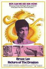 The Way of the Dragon poster 1