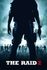 The Raid 2 poster 10