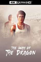 The Way of the Dragon (1972)