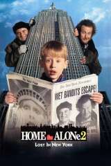 Home Alone 2: Lost in New York poster 9