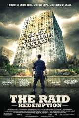 The Raid poster 37