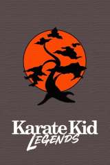 Karate Kid: Legends poster 18