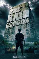 The Raid poster 14
