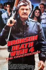 Death Wish 4: The Crackdown (1987)