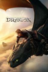 How to Train Your Dragon poster 40