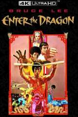 Enter the Dragon poster 29