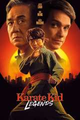 Karate Kid: Legends poster 30