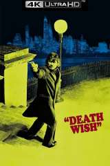 Death Wish poster 8