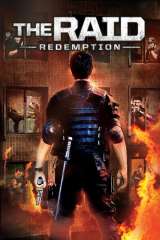 The Raid poster 29
