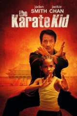 The Karate Kid poster 8